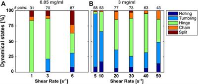 Competition Between Red Blood Cell Aggregation and Breakup: Depletion Force due to Filamentous Viruses vs. Shear Flow